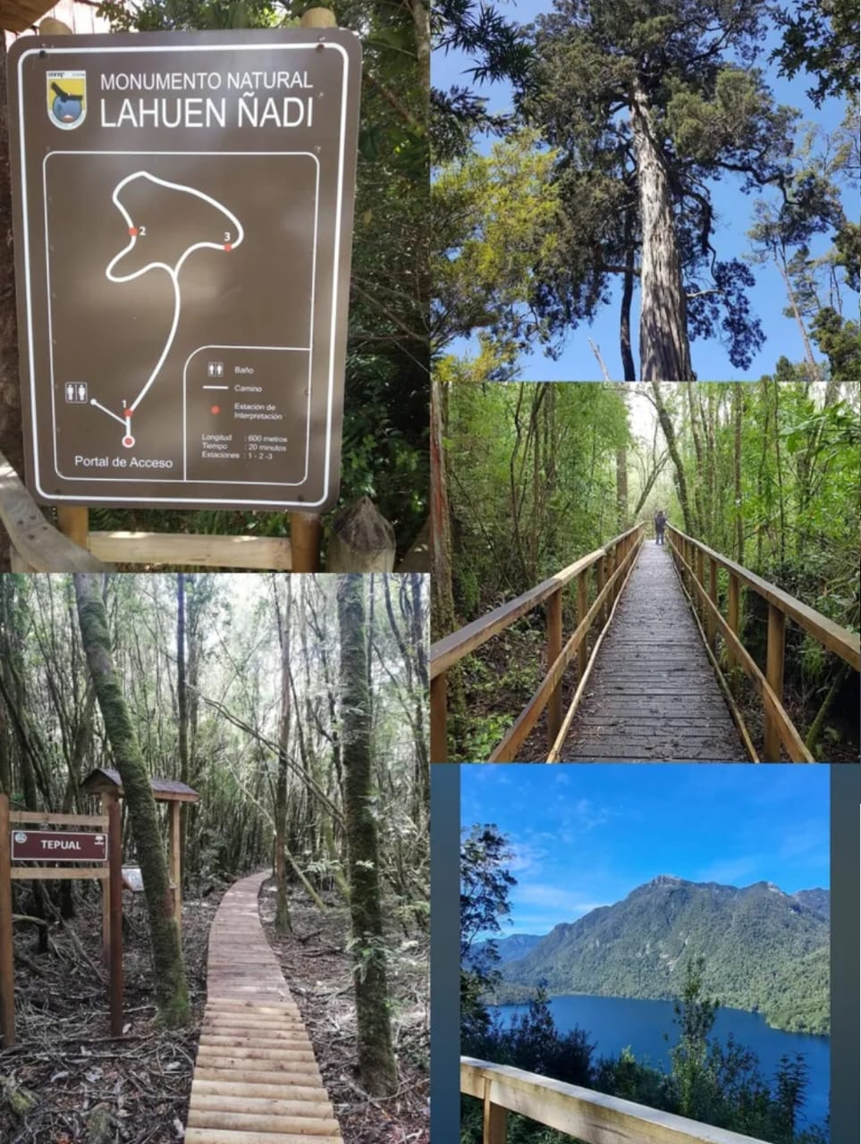 🌿 PARCELA EN VENTA – HACIENDA TRAPÉN, PUERTO MONTT