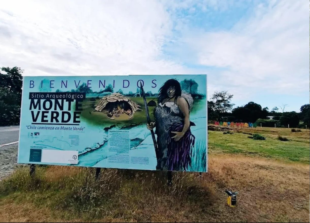 🌿 PARCELA EN VENTA – HACIENDA TRAPÉN, PUERTO MONTT